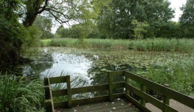 Your letters on Downham Market’s Willows nature reserve, climate change and Reform’s bid to end climate emergency declaration in Norfolk