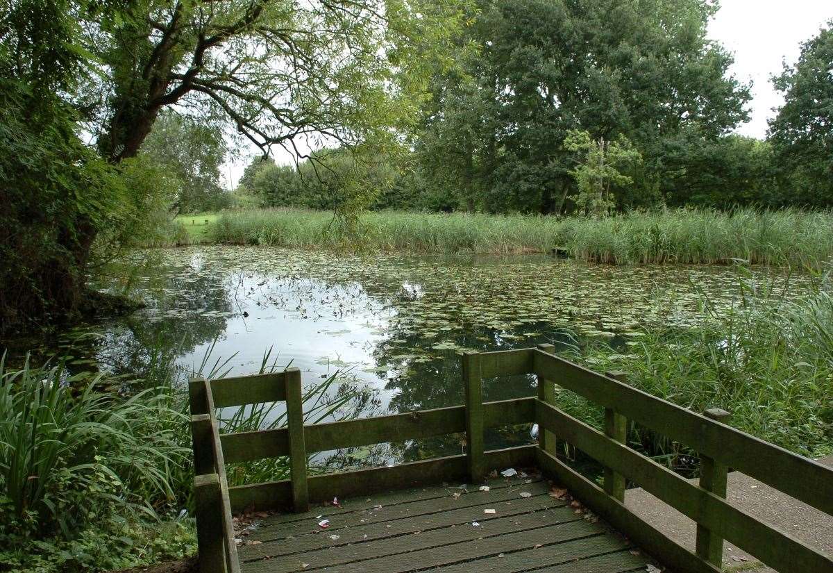 Your letters on Downham Market’s Willows nature reserve, climate change and Reform’s bid to end climate emergency declaration in Norfolk