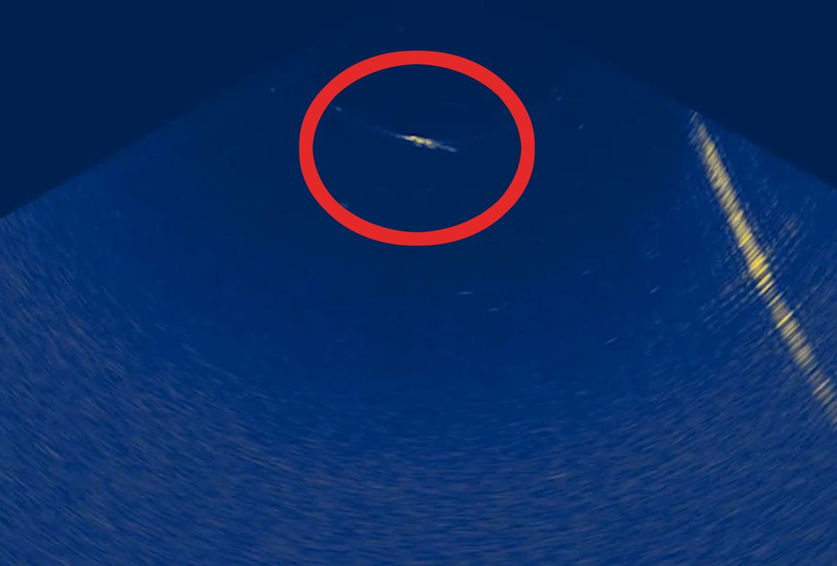A dolphin off Anglesey is detected by AI-driven sonar and audio technology on board the unmanned Marinus monitoring platform