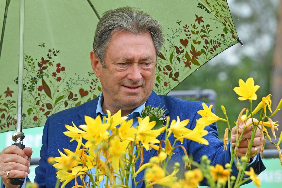 An individual, dressed in a blue suit, is standing beneath a green umbrella adorned with various colored spots. He is holding a cluster of bright yellow flowers, suggesting an engagement with a botanical or gardening activity. The setting appears to be outdoors, with a blurred background that hints at a natural environment.