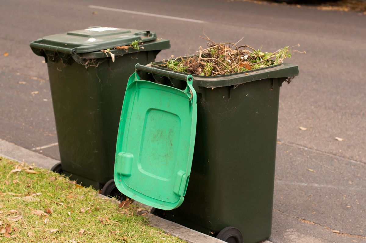 wheelie bins with green lids for green garden household waste