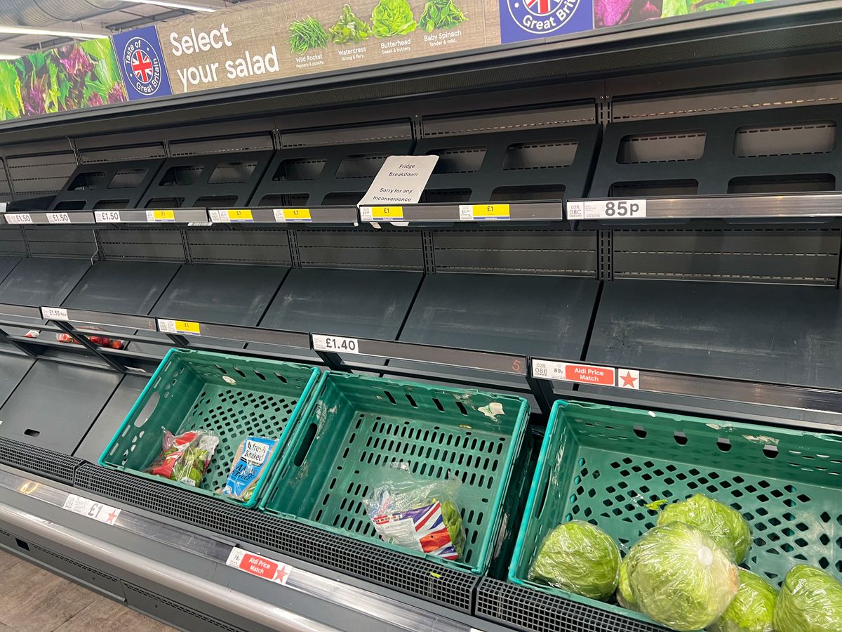 Fridge breakdown