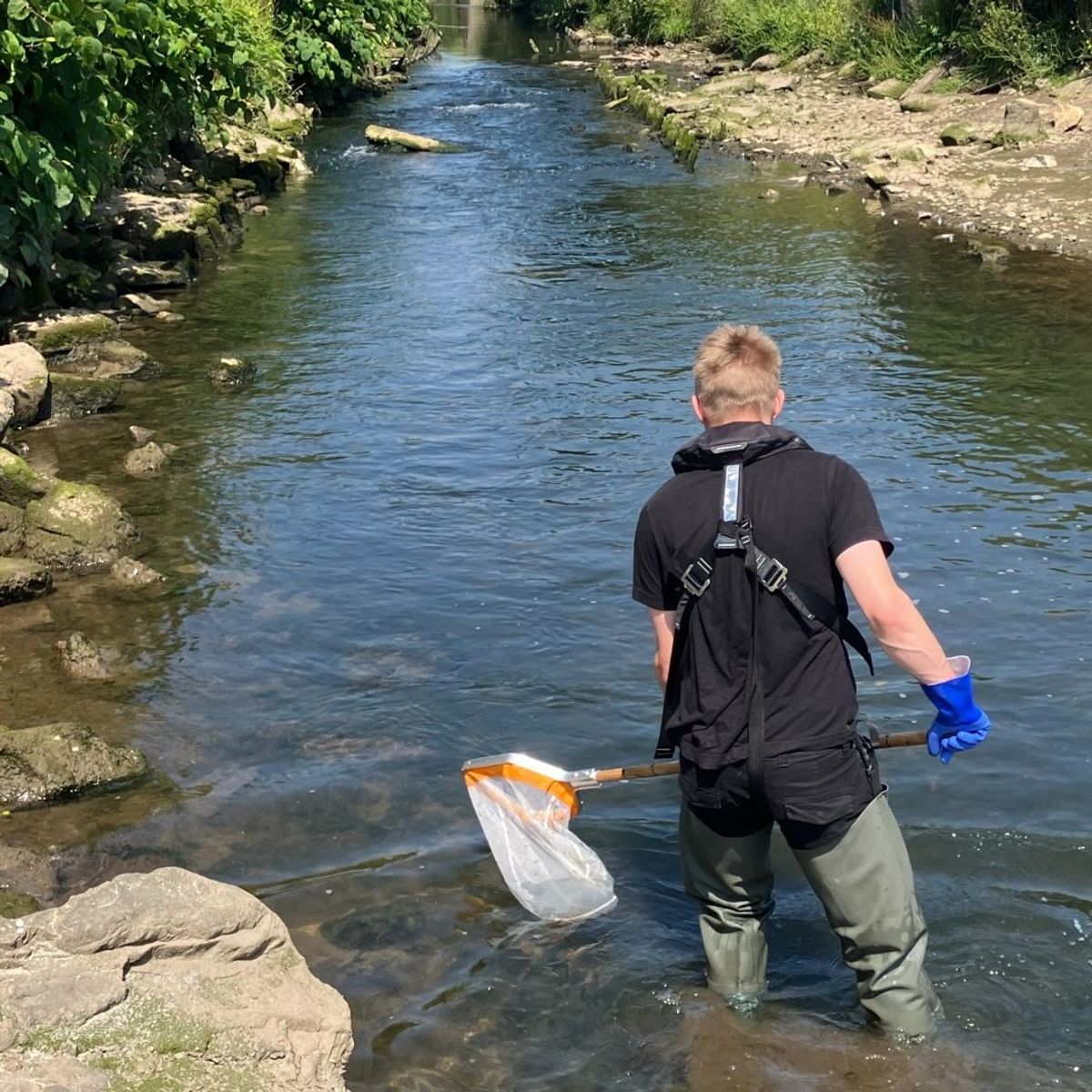 The Environment Agency has been investigating after pollution killed "many hundreds" of fish in the White River near St Austell