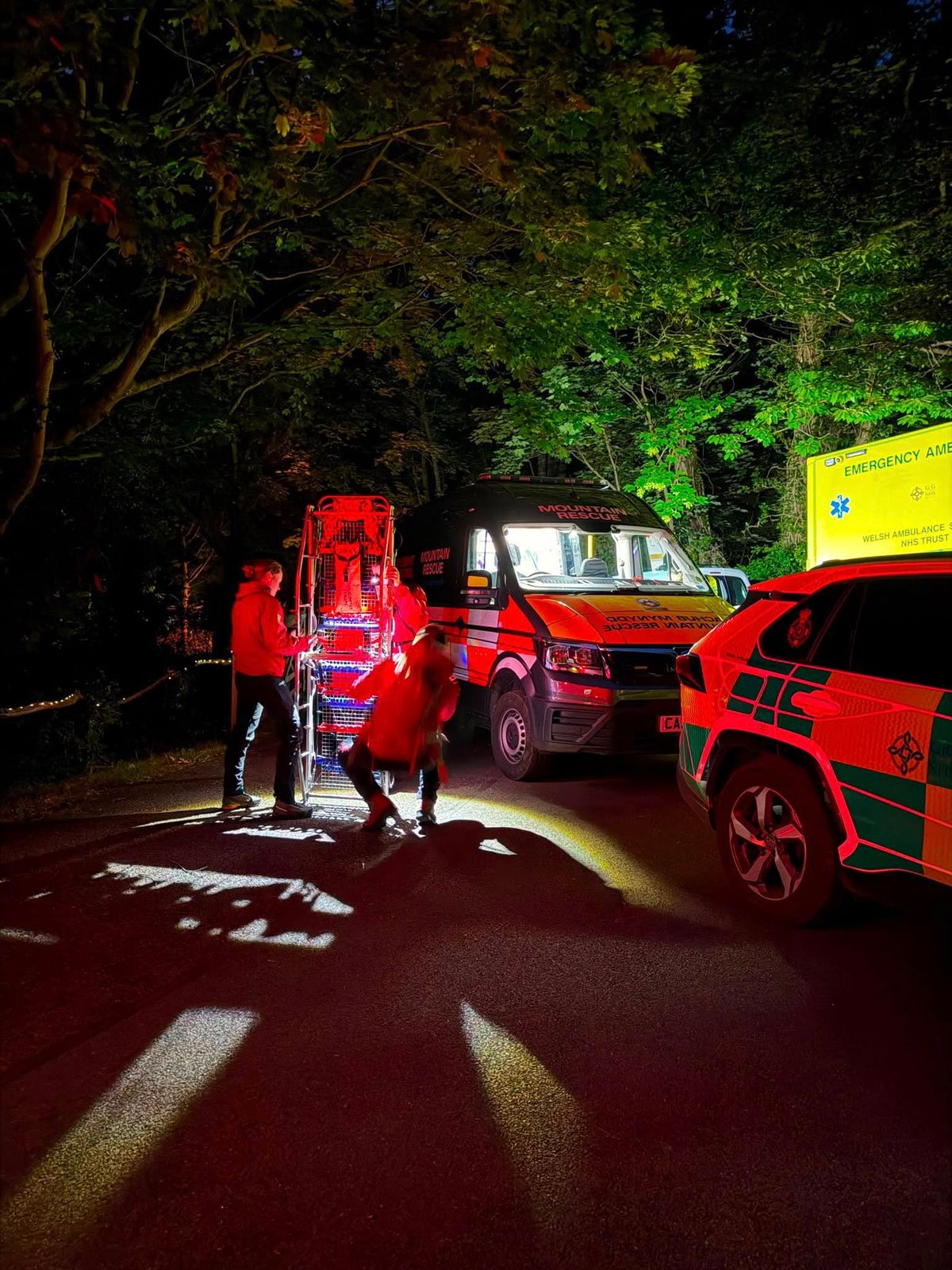 Newsar rescuers were called to help
