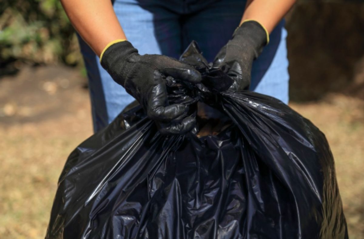 Waste experts have had their say after the Simpler Recycling scheme was rolled out by the Labour Party government in March.