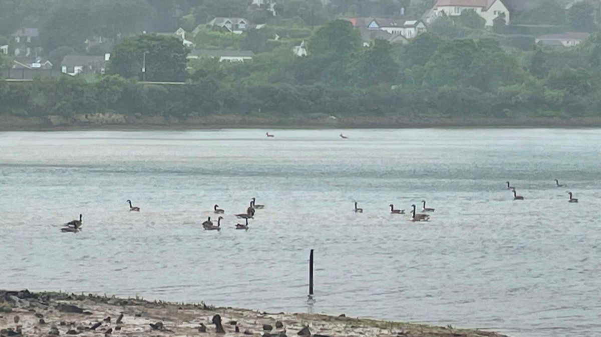 Cornwall Live