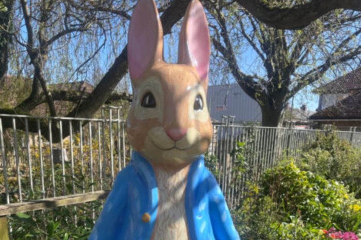 The Peter Rabbit: Tales on the Tyne trail will take over Newcastle and North Tyneside