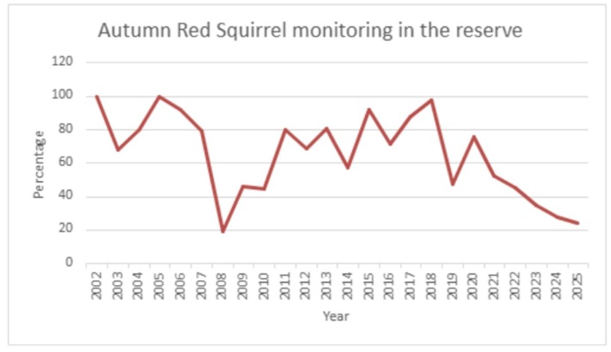 The red squirrel population in National Trust Formby, by The Wildlife Trust for Lancashire, Manchester & North Merseyside