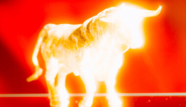 Opinion | The Global Bull Market That A.I. Obscures