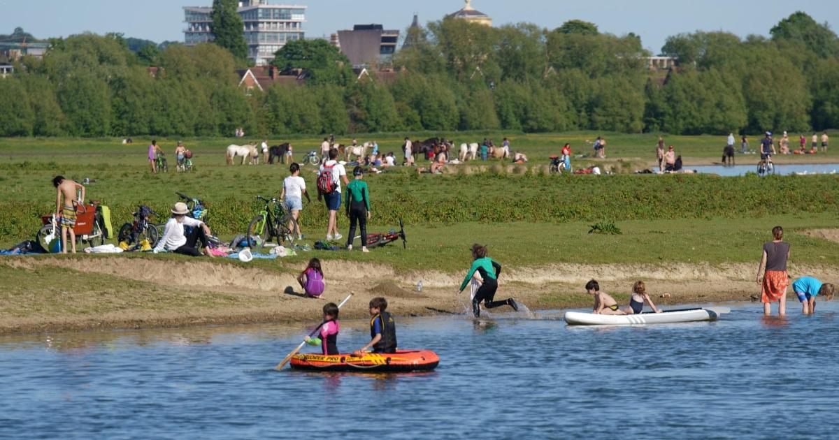 Thames Water plea amid Oxford Port Meadow poo pollution row