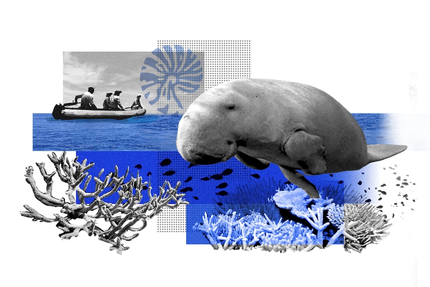 A collage of corals and a dugong with an ocean blue background.