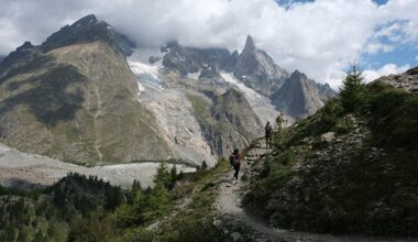 France adds 157,000 hectares of protected forest as nature preserves face pressure elsewhere