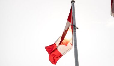 Canadian town officially recognizes trees as living beings with rights: ‘Our biggest ally’