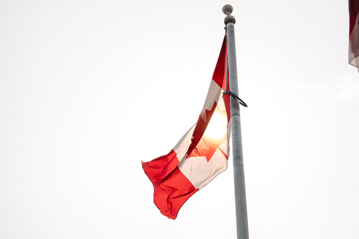Canadian town officially recognizes trees as living beings with rights: ‘Our biggest ally’
