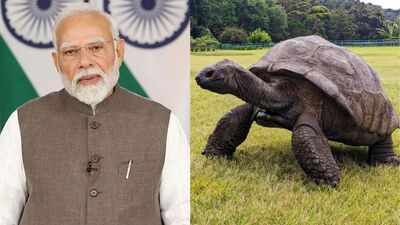 PM Modi Meets Jonathan, World's Oldest Living Land Animal, During Seychelles Visit