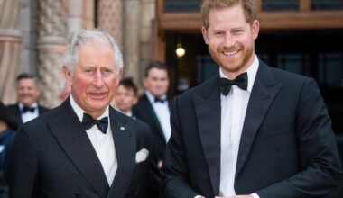 Royal insider lifts lid on palace's 'risk management' protocol for King Charles, Prince Harry reunion