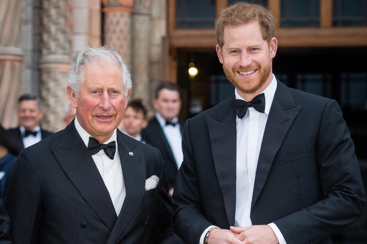 Royal insider lifts lid on palace's 'risk management' protocol for King Charles, Prince Harry reunion