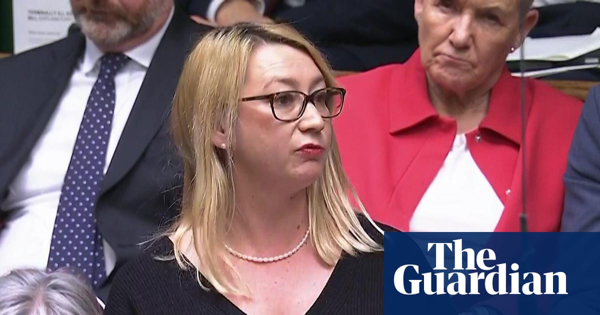 Labour MP sues Elon Musk’s xAI company over fake sexualised images | Grok AI