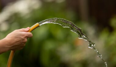 Mapped: Is there a hosepipe ban in my area and what restrictions are in place?