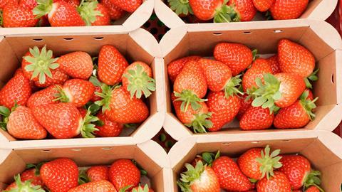 British strawberries are in peak supply