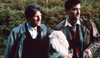 Adrian Dunbar's "wonderful" Ireland-set drama with James Nesbitt is now streaming for free in the UK