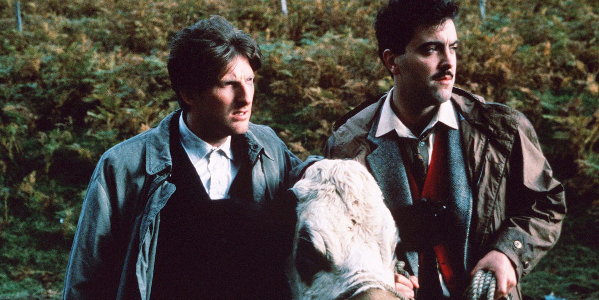Adrian Dunbar's "wonderful" Ireland-set drama with James Nesbitt is now streaming for free in the UK