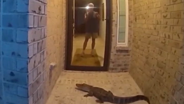 Video Player Placeholder