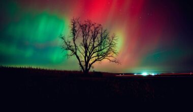 Northern Lights Forecast: 9 States Could See Aurora Amid Geomagnetic Storms