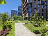 Daylight samples, main camera (1x) - 23mm, f/1.6, ISO 50, 1/2400s (4096x3072px) - Honor Magic V6 review