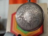 Close-up samples, main camera (2x) - 46mm, f/1.6, ISO 100, 1/100s (4096x3072px) - Honor Magic V6 review