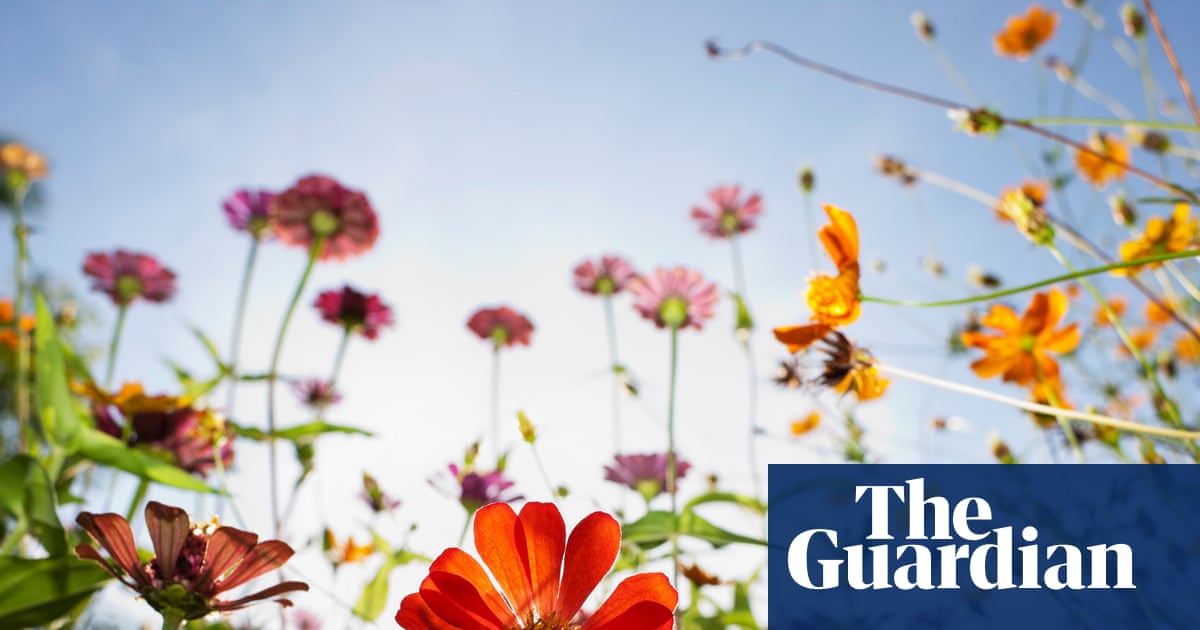 Natural history GCSE to teach teenagers to plant wildflower-friendly gardens | GCSEs