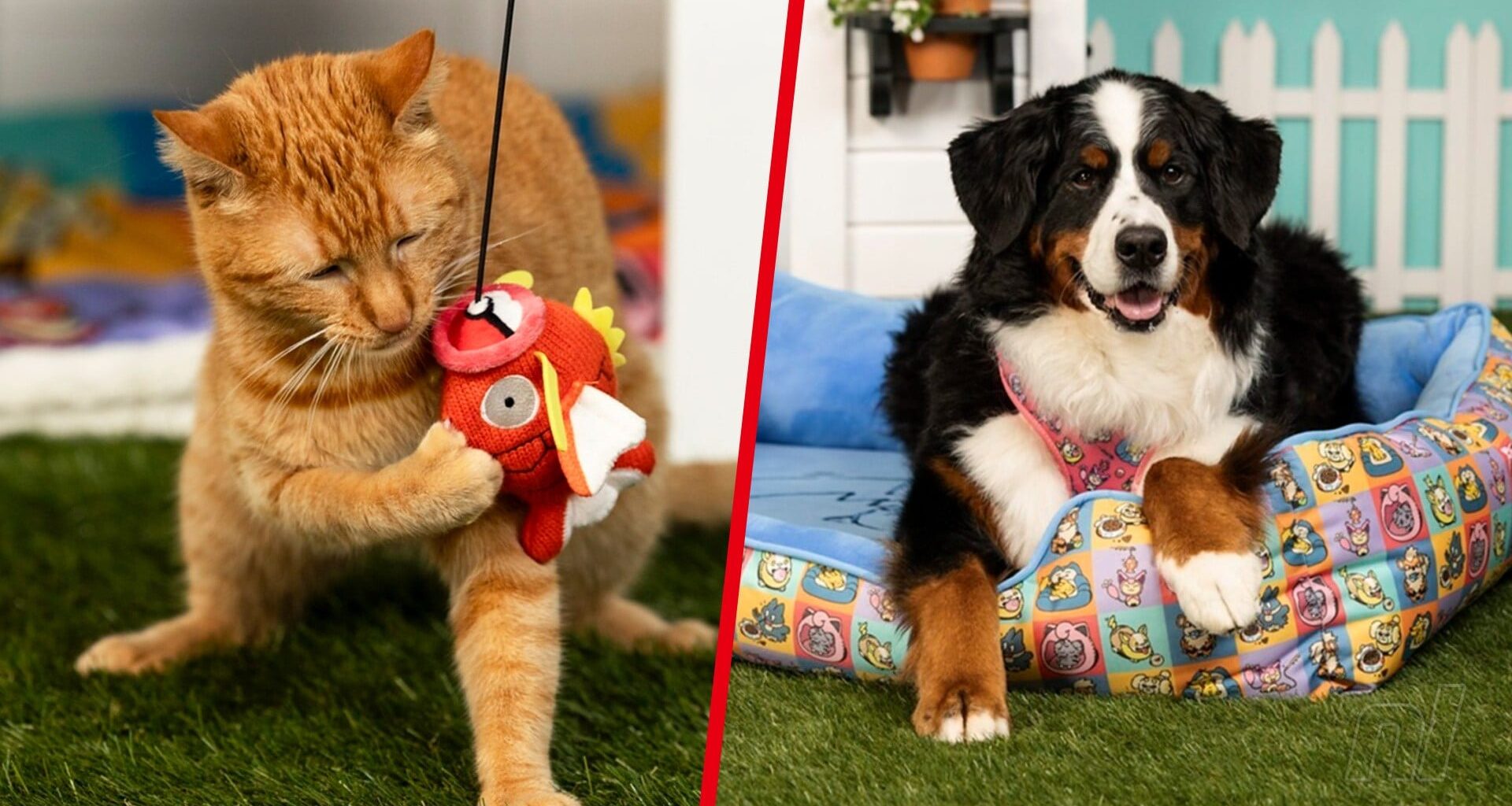 Gotta Fetch 'Em All! Your Pet Will Love Pokémon's Latest Merch Line