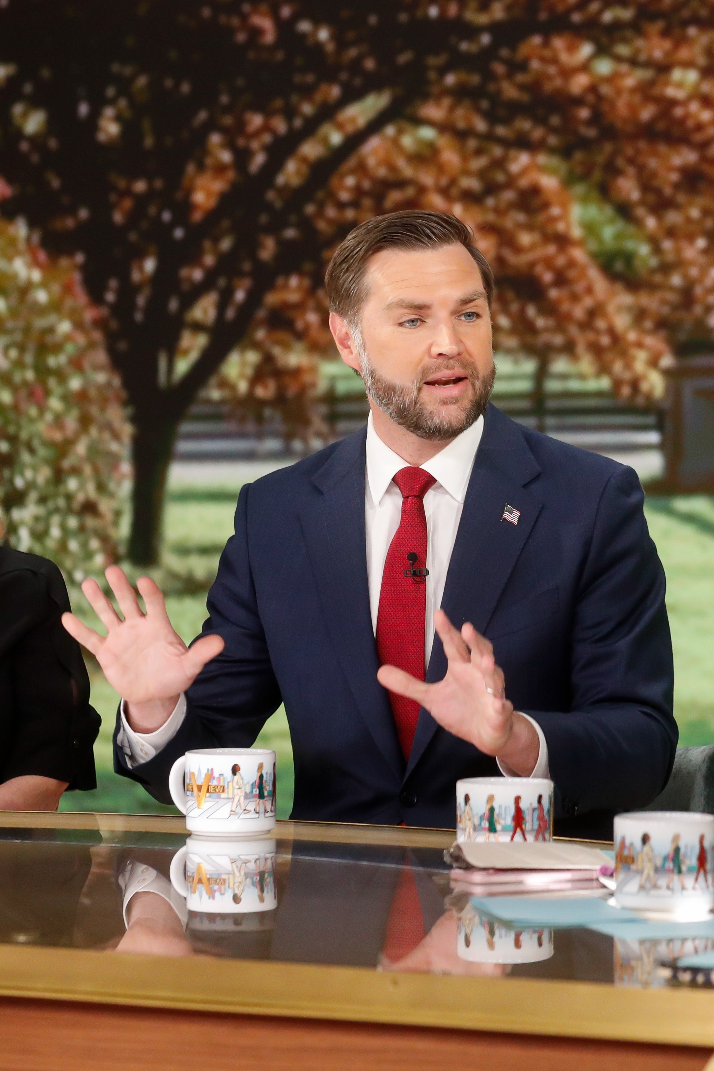 Vance went on the talk show, known for its liberal co-hosts, to promote his new memoir about his Catholic faith