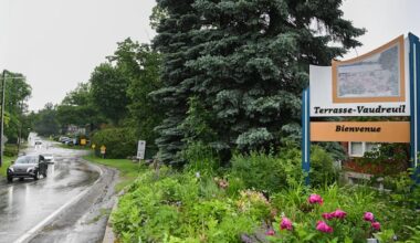 Quebec town recognizes trees as living beings with rights