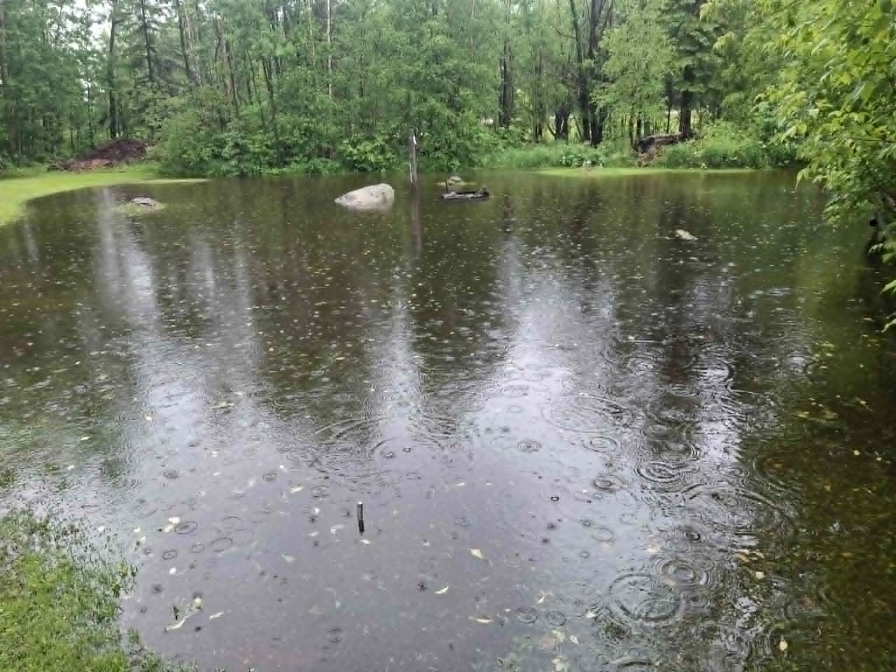 A flooded yard surrounded by trees.