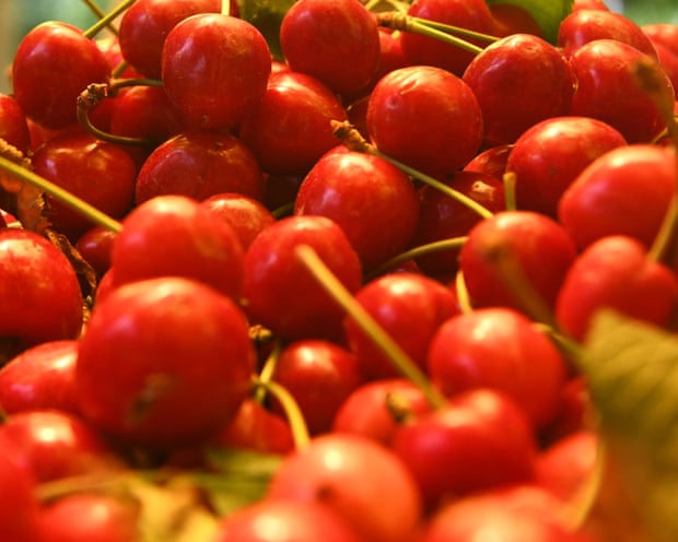 Cherries
