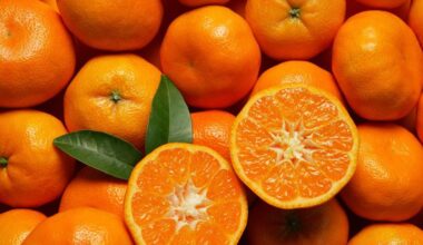 Morocco overtakes Spain as UK mandarin market leader with record 76,000-tonne export season