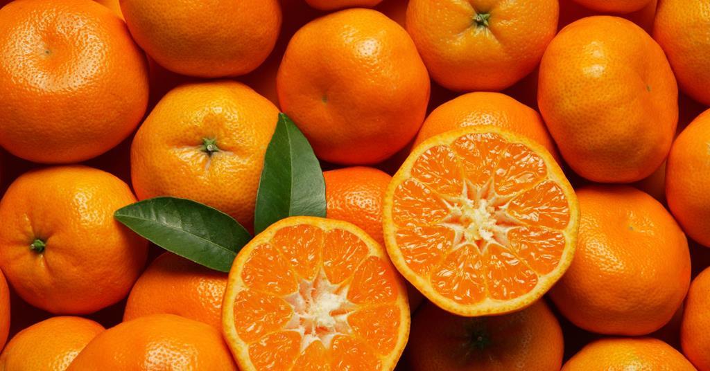Morocco overtakes Spain as UK mandarin market leader with record 76,000-tonne export season