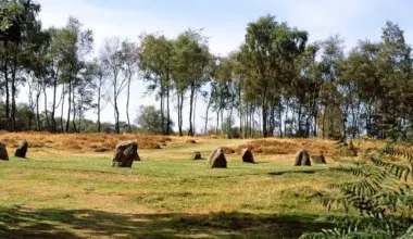 Derbyshire news: Murder probe launched after man's body found at 4,000-year-old Bronze Age site after summer solstice