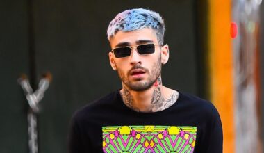 Zayn Reaches Several Charts For The First Time Without One Direction
