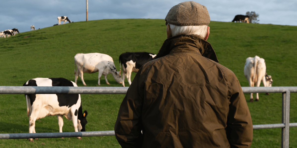 Labour urges British farmers to stop raising cattle in 'climate change' push