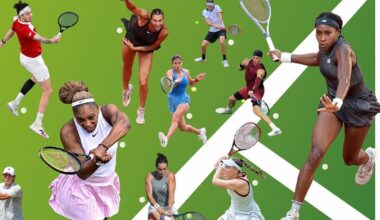 Who will win Wimbledon? Cheat's guide to this year's runners and riders