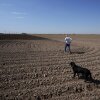 Farmer Larry Cox walks in a plowed field with his dog, Brodie, in 2022, near Brawley, Calif.