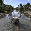 A flooded street with debris in the aftermath of Hurricane Milton, in Siesta Key, Fla., on October 10, 2024. The monster weather system sent tornadoes spinning across the state and flooded swaths of the Tampa Bay area after the storm rapidly intensified to a top-of-scale category 5 major hurricane.
