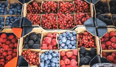 Fresh strawberries were a summer luxury. When did they become an all-season toddler snack?