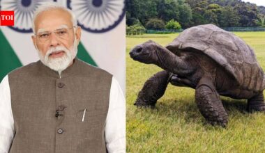 Narendra Modi Seychelles Visit: Prime Minister Narendra Modi meets 194-year-old Jonathan during Seychelles visit; here’s the incredible story of the world’s oldest living land animal