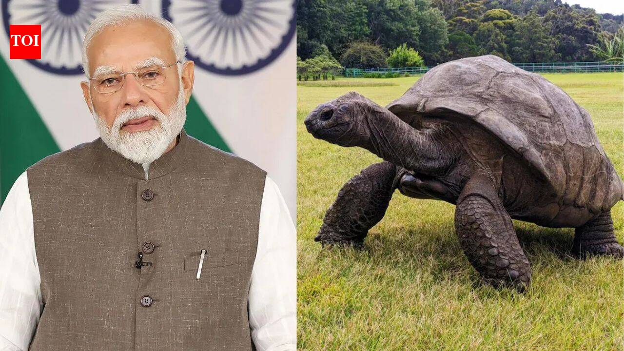 Narendra Modi Seychelles Visit: Prime Minister Narendra Modi meets 194-year-old Jonathan during Seychelles visit; here’s the incredible story of the world’s oldest living land animal