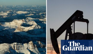 Trump officials to slash public input on fossil fuel drilling on federal lands | Fossil fuels