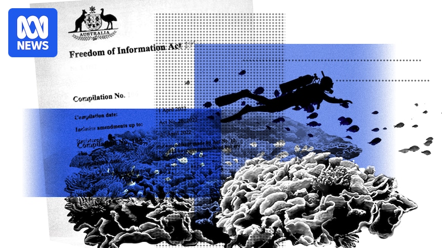 'Systemic racism' claims identified in buried reef authority review