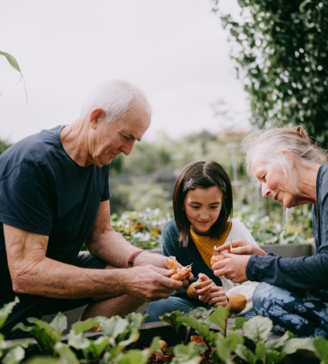 Grandparents and granddaughter gardening together - stock photo